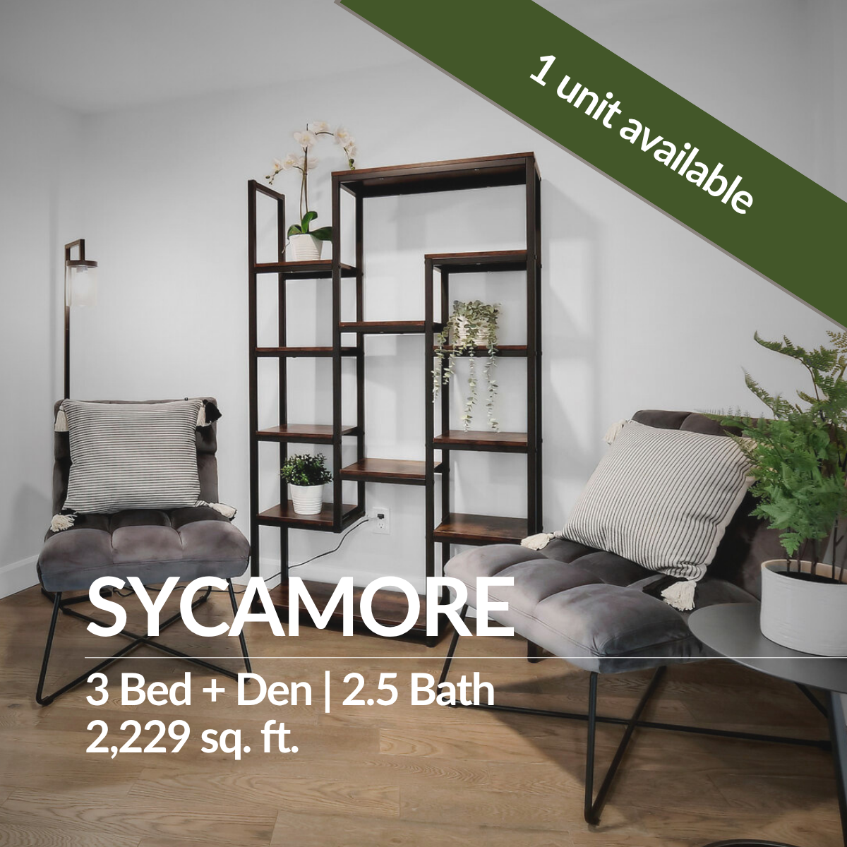 HP_Sycamore_1125-2