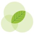eve-park-logo-icon-2023 (1)