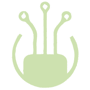 fiber internet