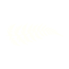 woodfern